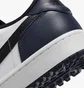 Кросівки унісекс Air Jordan Air 1 Low G White/Blue DD9315-104