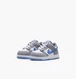 Кроссовки детские Nike Dunk Low (Td) Grey FB9107-121