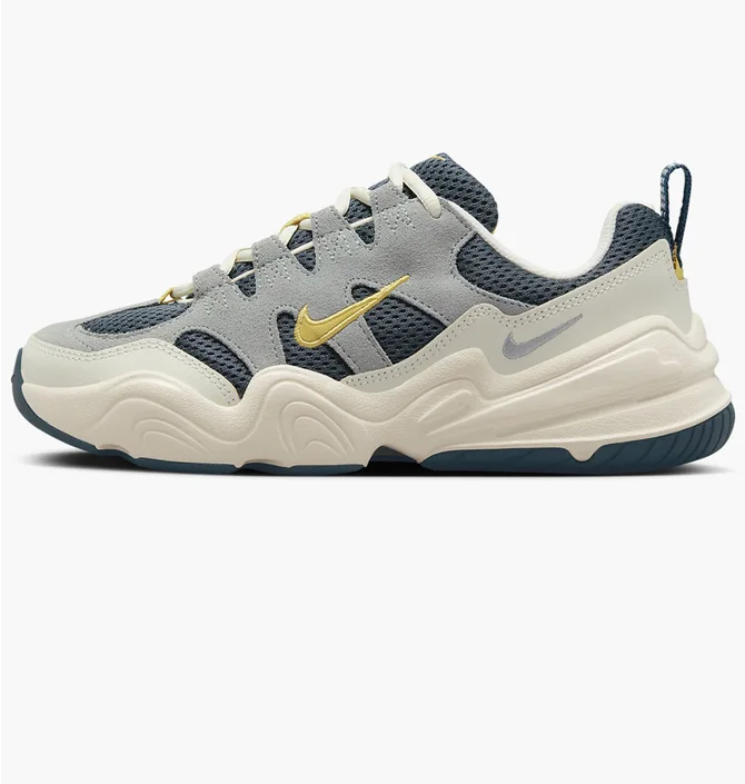 Кроссовки женские Nike Tech Hera Grey FQ2771-300
