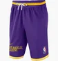 Шорти чоловічі Nike Los Angeles Lakers Violet DB1801-504