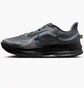Кроссовки мужские Nike Pegasus Premium Black HQ2592-012