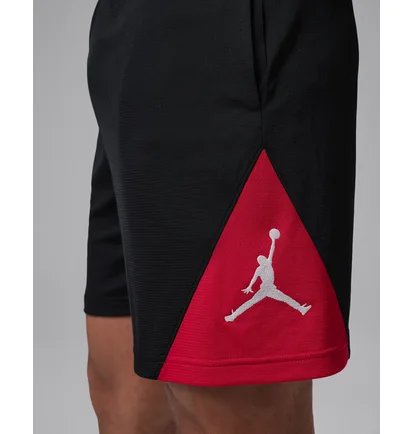 Шорты мужские Air Jordan Jordan Sport MenS Dri-Fit Shorts Black IQ5775-010