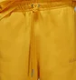 Штани чоловічі Air Jordan Wordmark Fleece Pant Yellow FJ0696-739