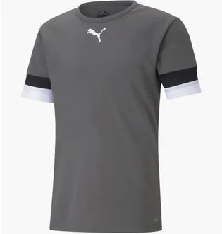 Футболка мужская Puma Teamrise Jersey Green 704932-13