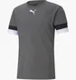 Футболка мужская Puma Teamrise Jersey Green 704932-13