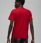 Футболка чоловіча Air Jordan Essential Holiday T-Shirt Red Dv1433-612