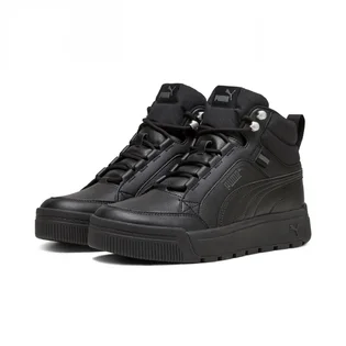 Кросівки чоловічі Puma Tarrenz Sb Iii Black 392628-01