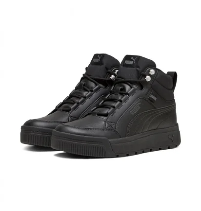 Кроссовки мужские Puma Tarrenz Sb Iii Black 392628-01