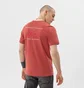 Футболка мужская Air Jordan T-Shirt M J Flt Ess Jdn Air Gfx Crew Bordo DH8968-691