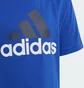 Спортивный костюм детский Adidas Essentials Logo Blue/Grey IS2470