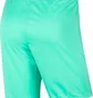 Шорты мужские Nike Dry Park Iii Short Nb K Turquoise Bv6855-354