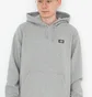 Худі чоловіче Dickies Oakport Hoodie Grey DK0A4XCDGYM