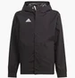 Ветровка детская Adidas Entrada 22 All Weather Black IK4014
