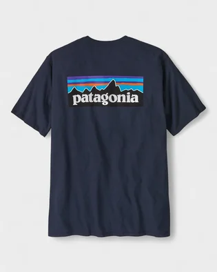 Футболка мужская Patagonia P-6 Logo Responsibili -Tee Blue NENA38504