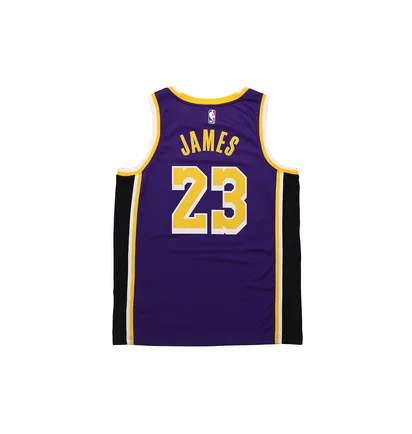 Майка унисекс Nike Nba Los Angeles Lakers Statement Edition Lebron James Violet/Black CV9481-508