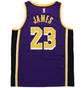 Майка унисекс Nike Nba Los Angeles Lakers Statement Edition Lebron James Violet/Black CV9481-508