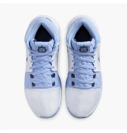 Кроссовки мужские Nike Lebron Witness Viii White HQ2139-100