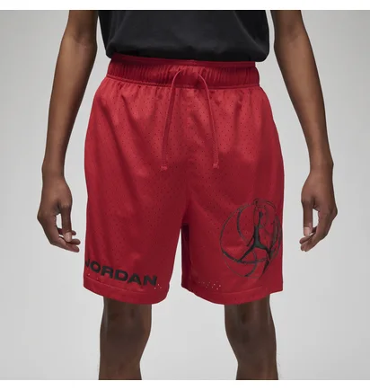 Шорты мужские Air Jordan M J Df Sprt Bc Hbr Mesh Short Red DZ0569-687