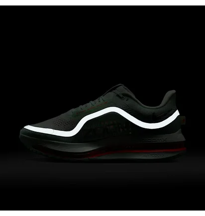 Кросівки чоловічі Nike Pegasus Premium MenS Road Running Shoes Green HQ2592-301