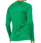 Термобілизна чоловіча Nike M Nk Df Park 1Stlyr Jsy Ls Green Av2609-302