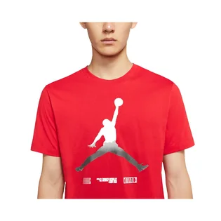 Футболка мужская Air Jordan Legacy A J11 MenS Short-Sleeve T-Shirt Red CW0850-657