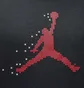 Худи унисекс Air Jordan Ess Mmbr Hldy Flc Black FD7465-010