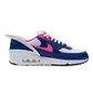 Кроссовки унисекс Nike Air Max 90 Flyease Multicolor CU0814-101