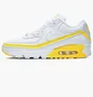 Кроссовки мужские Nike Air Max 90 White Cj7197-101