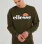 Свитшот мужской Ellesse Sl Succiso Sweatshirt Green SHC07930-506