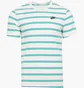 Футболка мужская Nike Club Stripe Tee White DZ2985-094