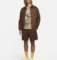 Шорти унісекс Nike Skyring Sb Brown FQ0412-259