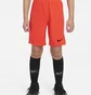 Шорти дитячі Nike Park Iii Pink Bv6865-635