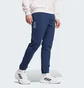 Штаны мужские Adidas Poland Future Icons Blue JF6683