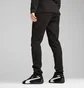 Штани чоловічі Puma Evostripe Core Pants Men Black 631533-01