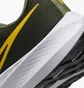 Кросівки чоловічі Nike Pegasus 39 Black Fd0785-300