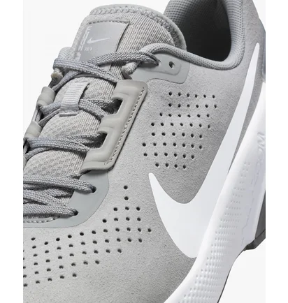 Кросівки чоловічі Nike Air Zoom Tr 1 Grey DX9016-003