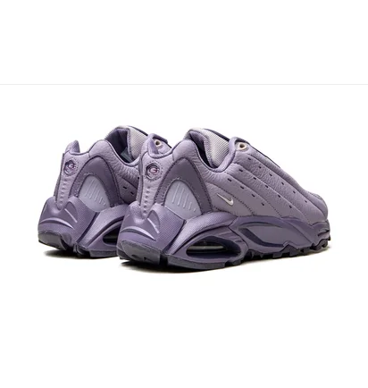 Кросівки чоловічі Nike Hot Step Air Terra Violet DH4692-500