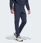 Штани чоловічі Adidas As Roma Seasonal Doubleknit Blue IT3869