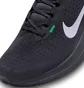 Кроссовки мужские Nike Air Winflo 10 Blue DV4022-004
