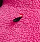 Куртка жіноча Nike Sportswear Therma-Fit City Series Sherpa Down Puffer Jacket Pink Dq6869-639