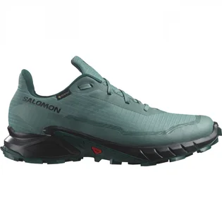 Кроссовки женские Salomon Alphacross 5 Gtx Blue L47595000