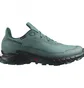 Кросівки жіночі Salomon Alphacross 5 Gtx Blue L47595000