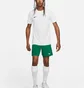 Футболка мужская Nike M Nk Df Park Vii Jsy Ss White Bv6708-101