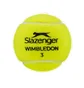 Тенісний м'яч Slazenger Wimbledon Ac 4B Green 340973
