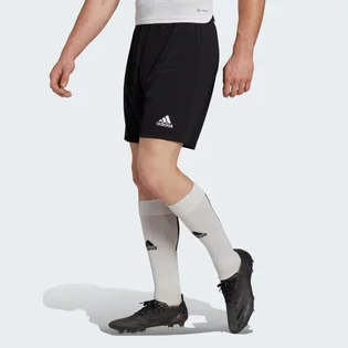 Шорти чоловічі Adidas Entrada 22 Shorts Black H57504