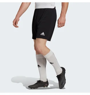 Шорти чоловічі Adidas Entrada 22 Shorts Black H57504