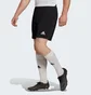 Шорты мужские Adidas Entrada 22 Shorts Black H57504