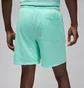 Шорты мужские Air Jordan Mvp Green FN4661-349