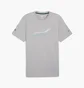 Футболка мужская Puma Mercedes-Amg Petronas Motorsport Grey 623759-02