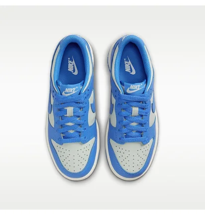 Кросівки дитячі Nike Dunk Low Blue/Grey FB9109-004